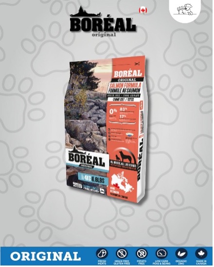 Perro original salmón 4 kg