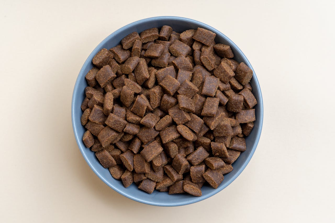 Aerial view of dry brown dog kibble in a pastel blue bowl against a beige backdrop, perfect for pet food advertisements.